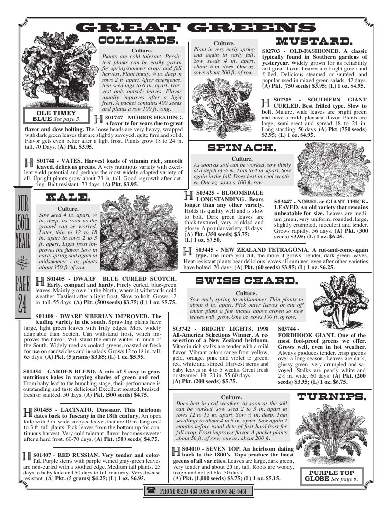 R.H. Shumway flyer page 24