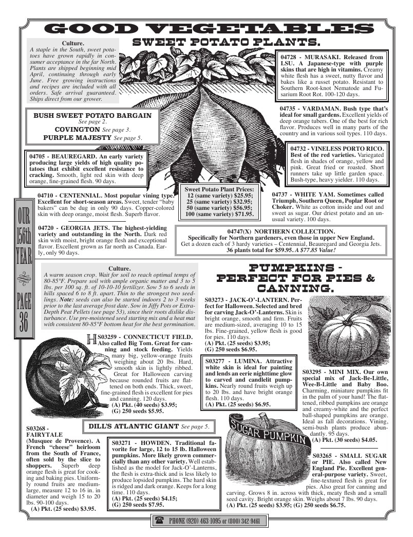 R.H. Shumway flyer page 36