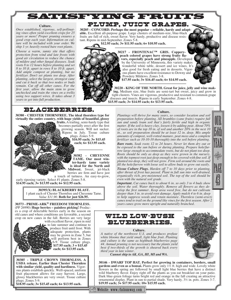 R.H. Shumway flyer page 43