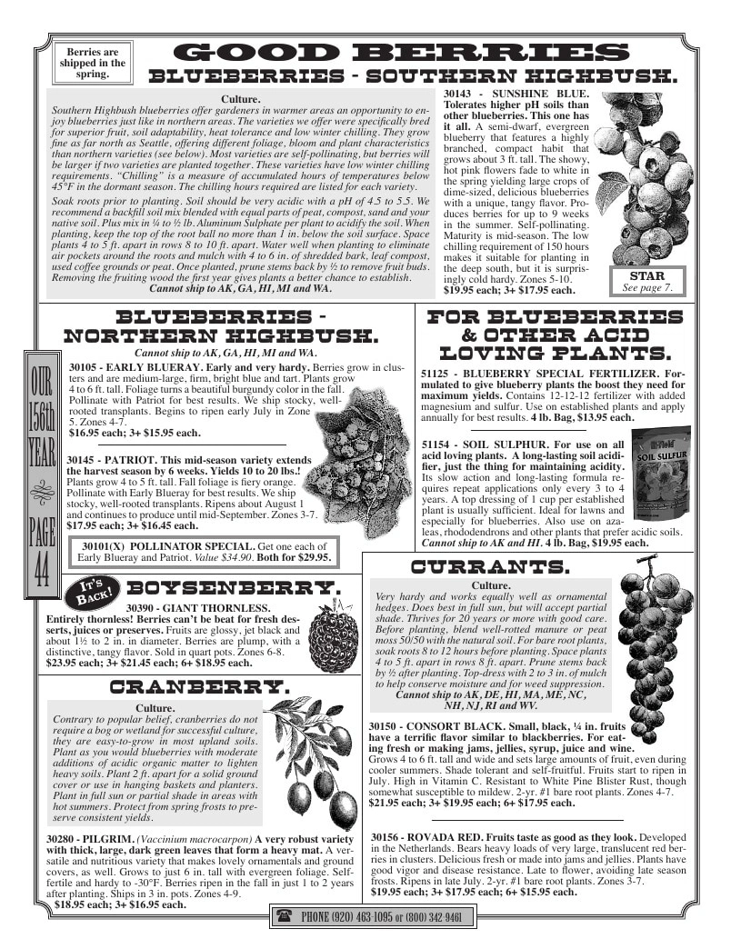 R.H. Shumway flyer page 44