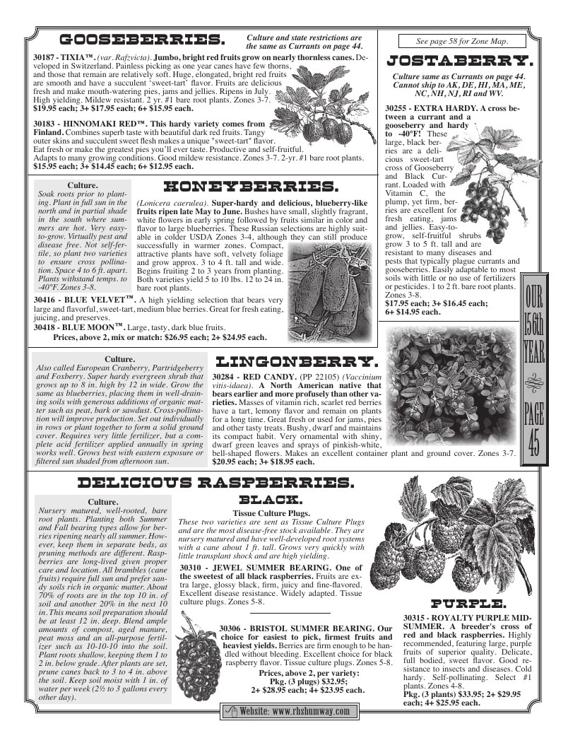 R.H. Shumway flyer page 45