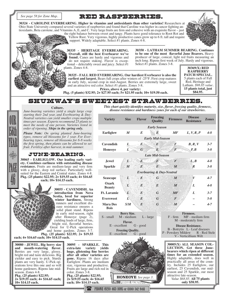 R.H. Shumway flyer page 46