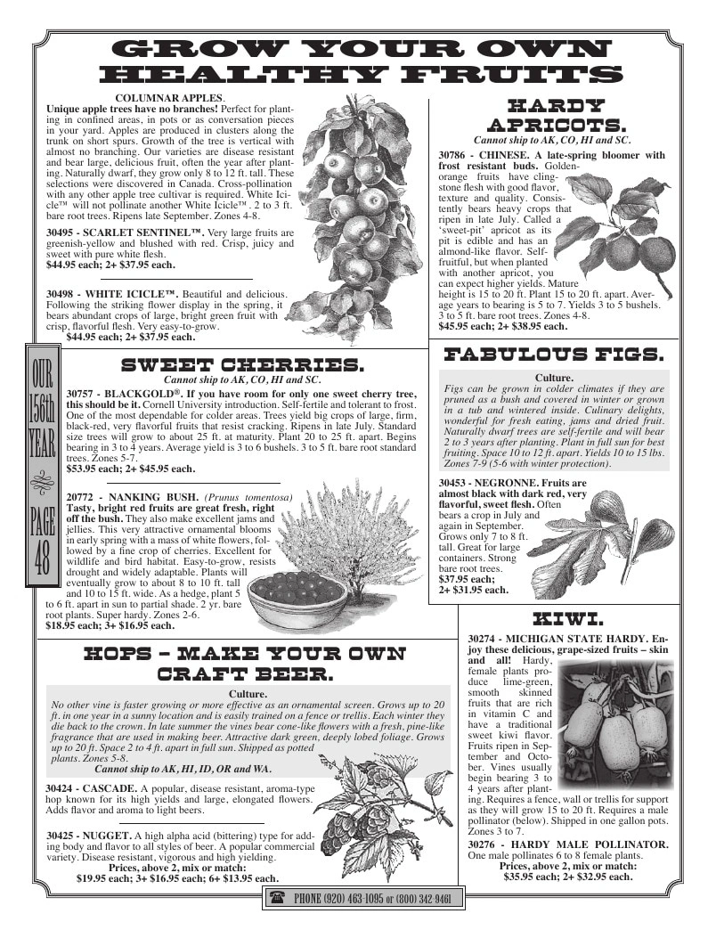 R.H. Shumway flyer page 48