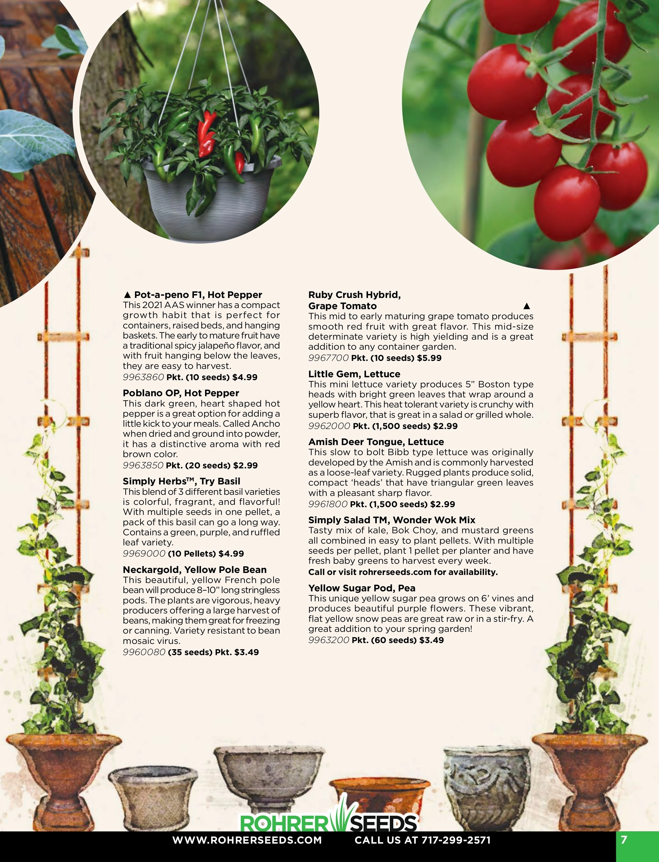 Rohrer Seeds flyer page 7