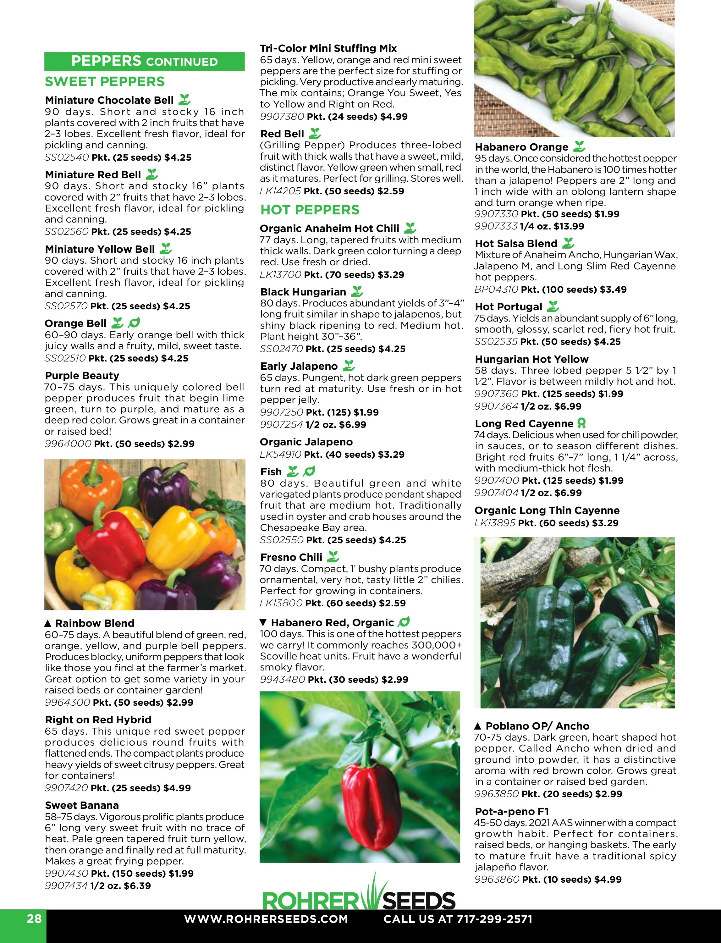 Rohrer Seeds flyer page 28