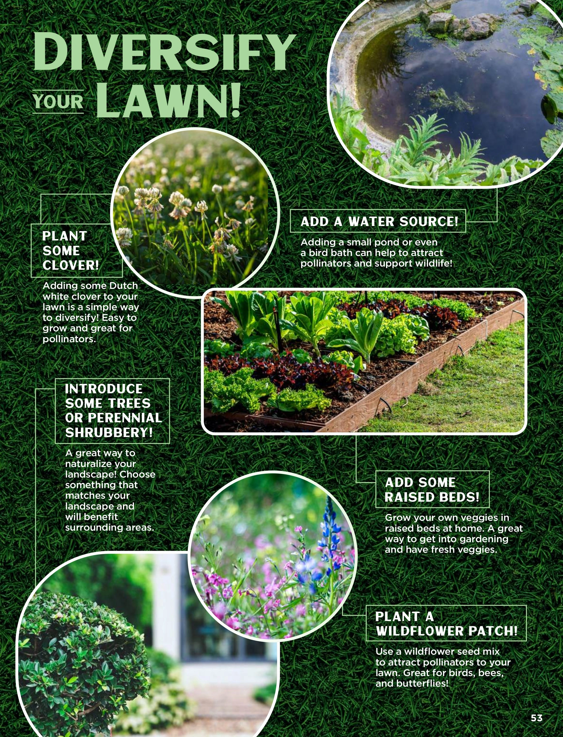 Rohrer Seeds flyer page 53
