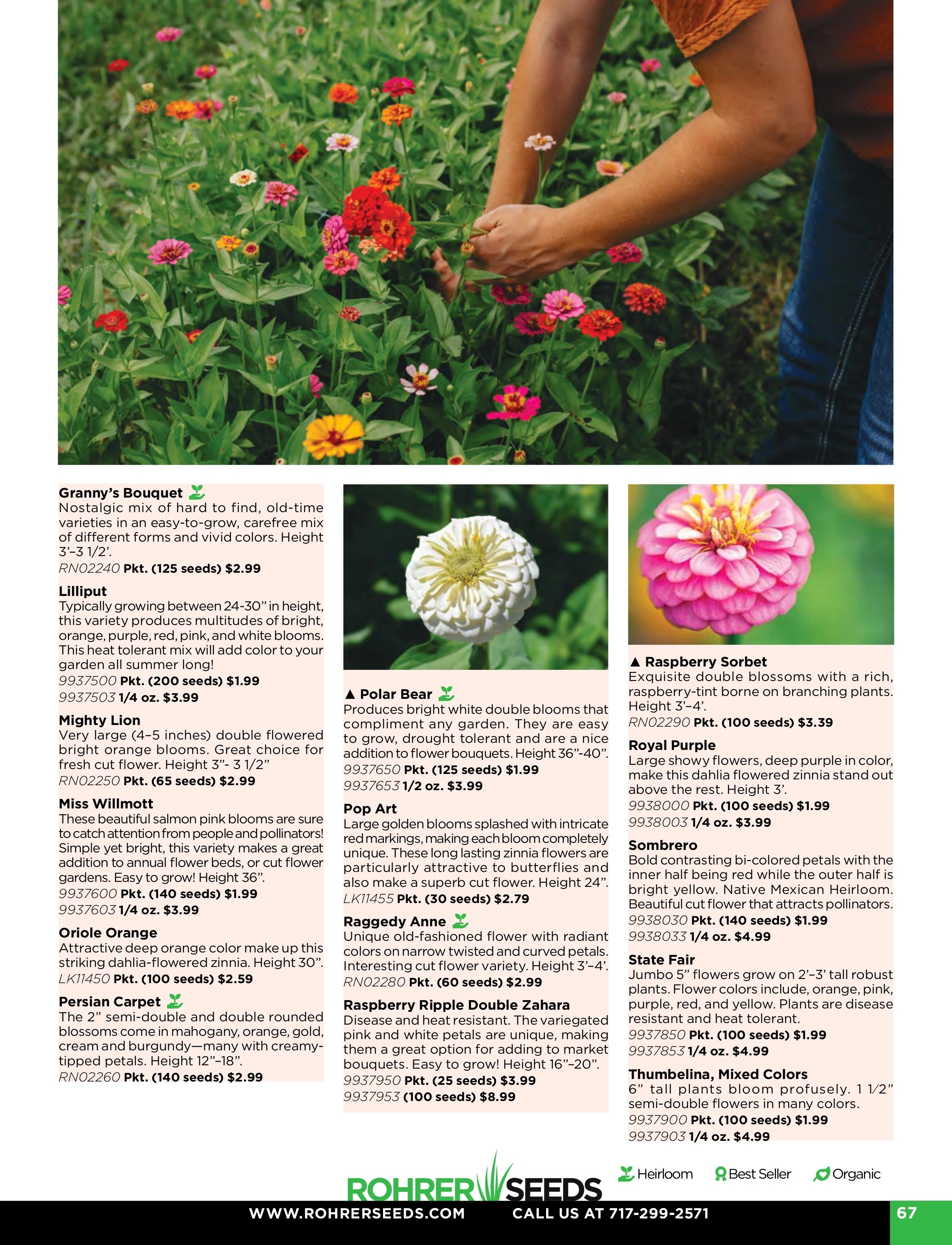 Rohrer Seeds flyer page 67