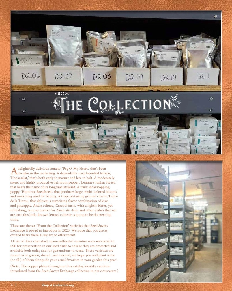 Seed Savers Exchange flyer page 6