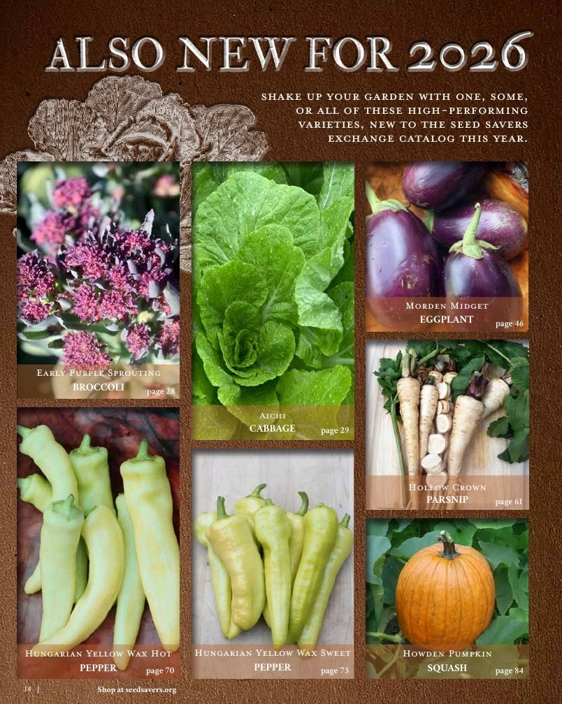 Seed Savers Exchange flyer page 14
