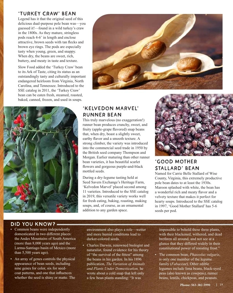 Seed Savers Exchange flyer page 19