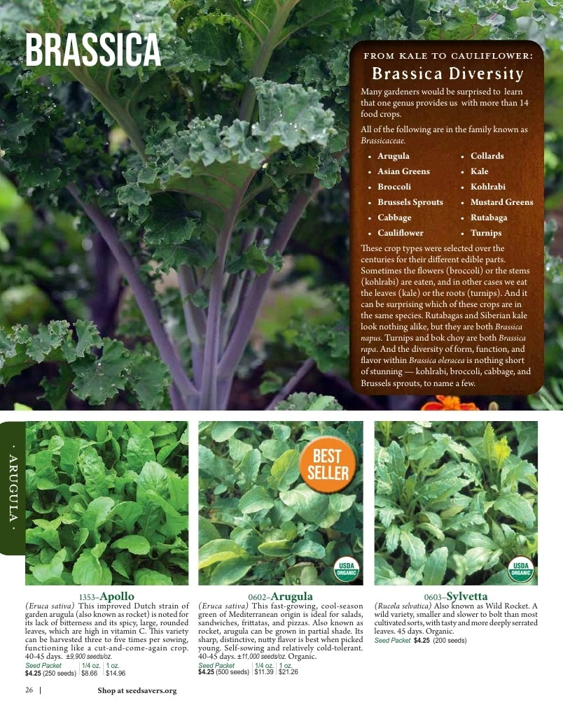 Seed Savers Exchange flyer page 26