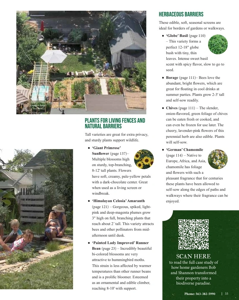 Seed Savers Exchange flyer page 33