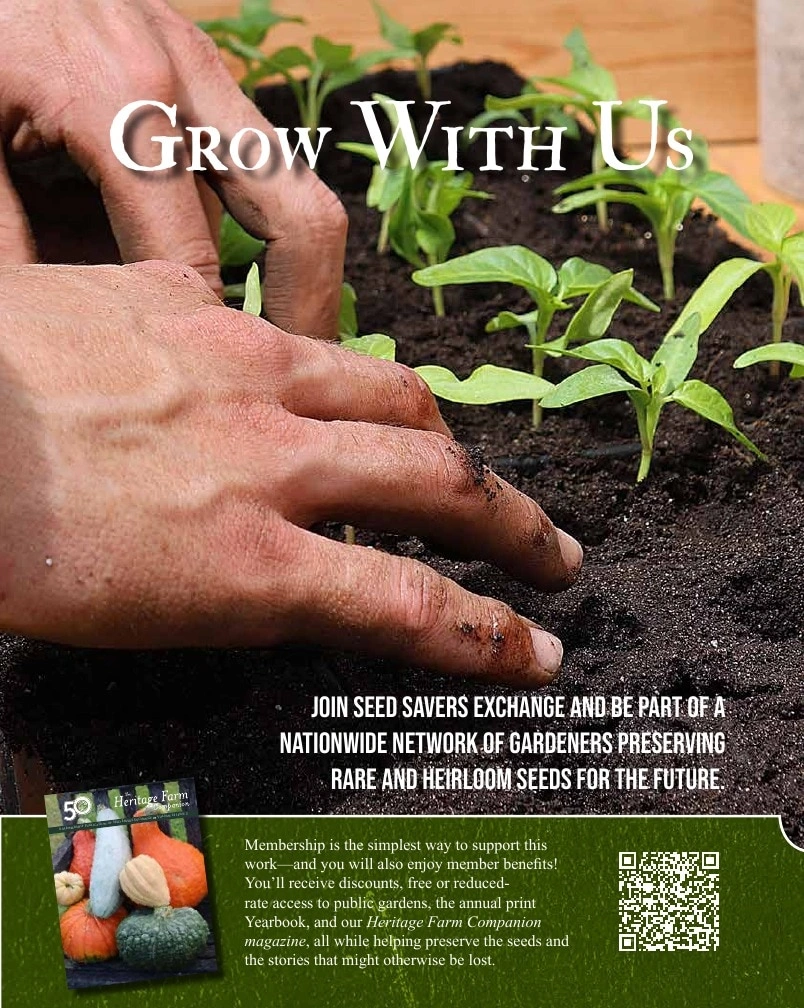 Seed Savers Exchange flyer page 37