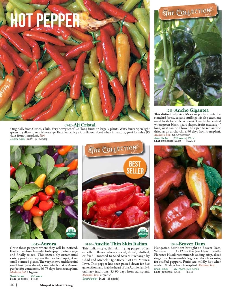 Seed Savers Exchange flyer page 66