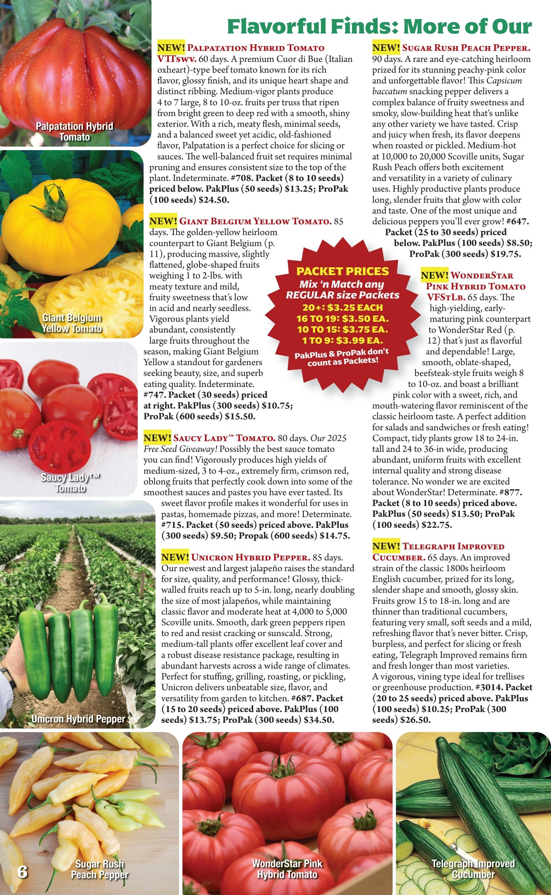 Seeds 'n Such flyer page 6