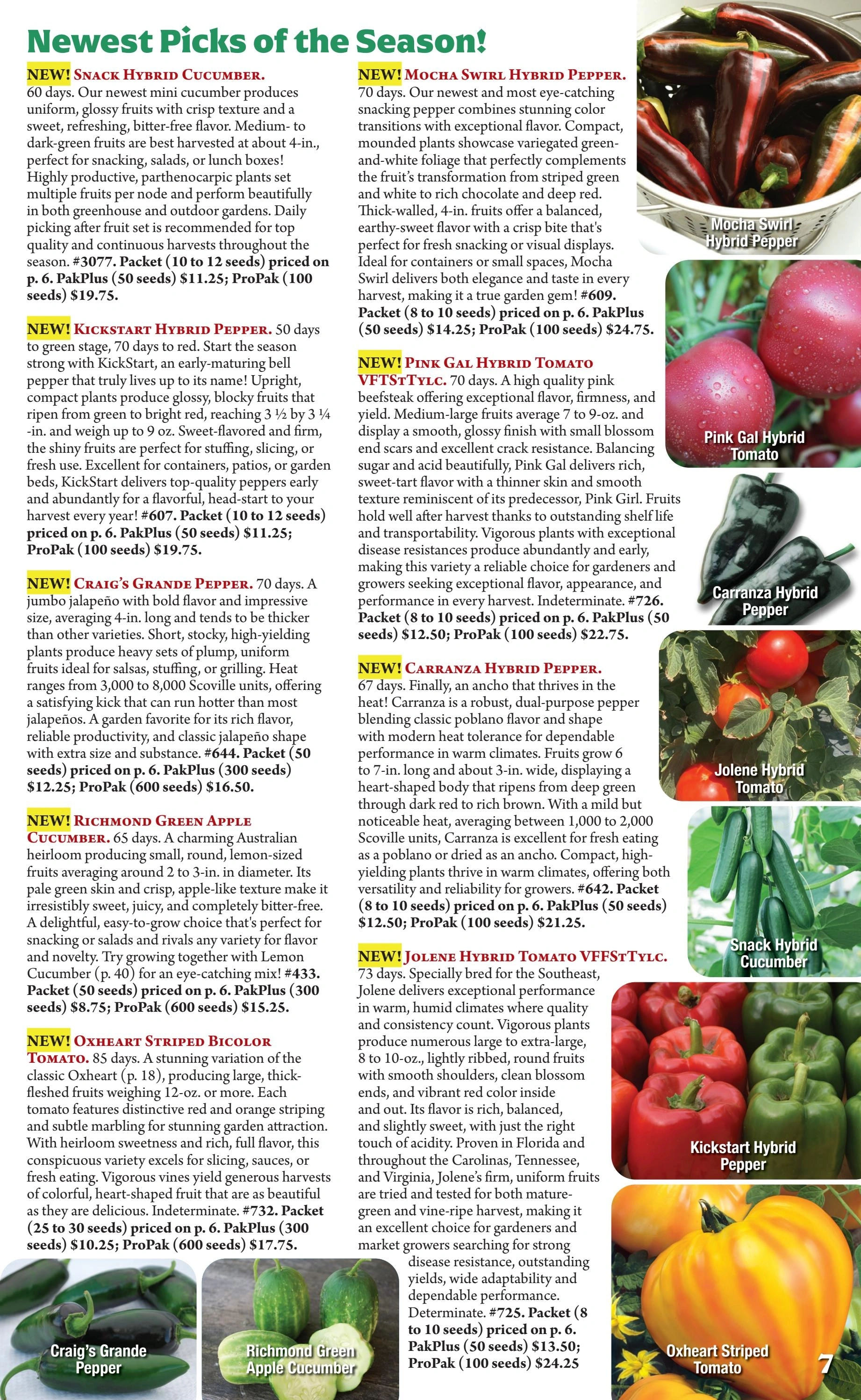Seeds 'n Such flyer page 7