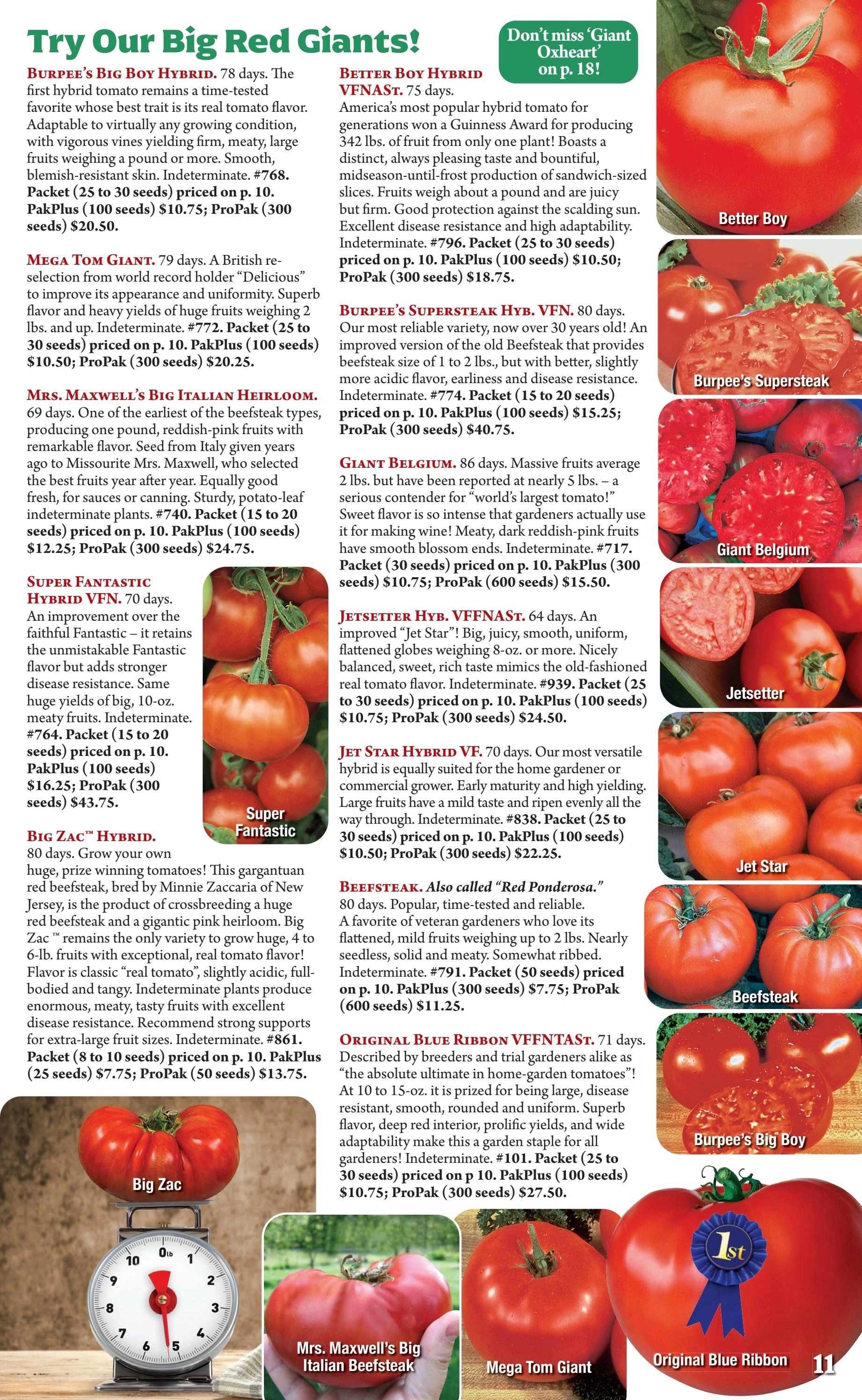 Seeds 'n Such flyer page 11