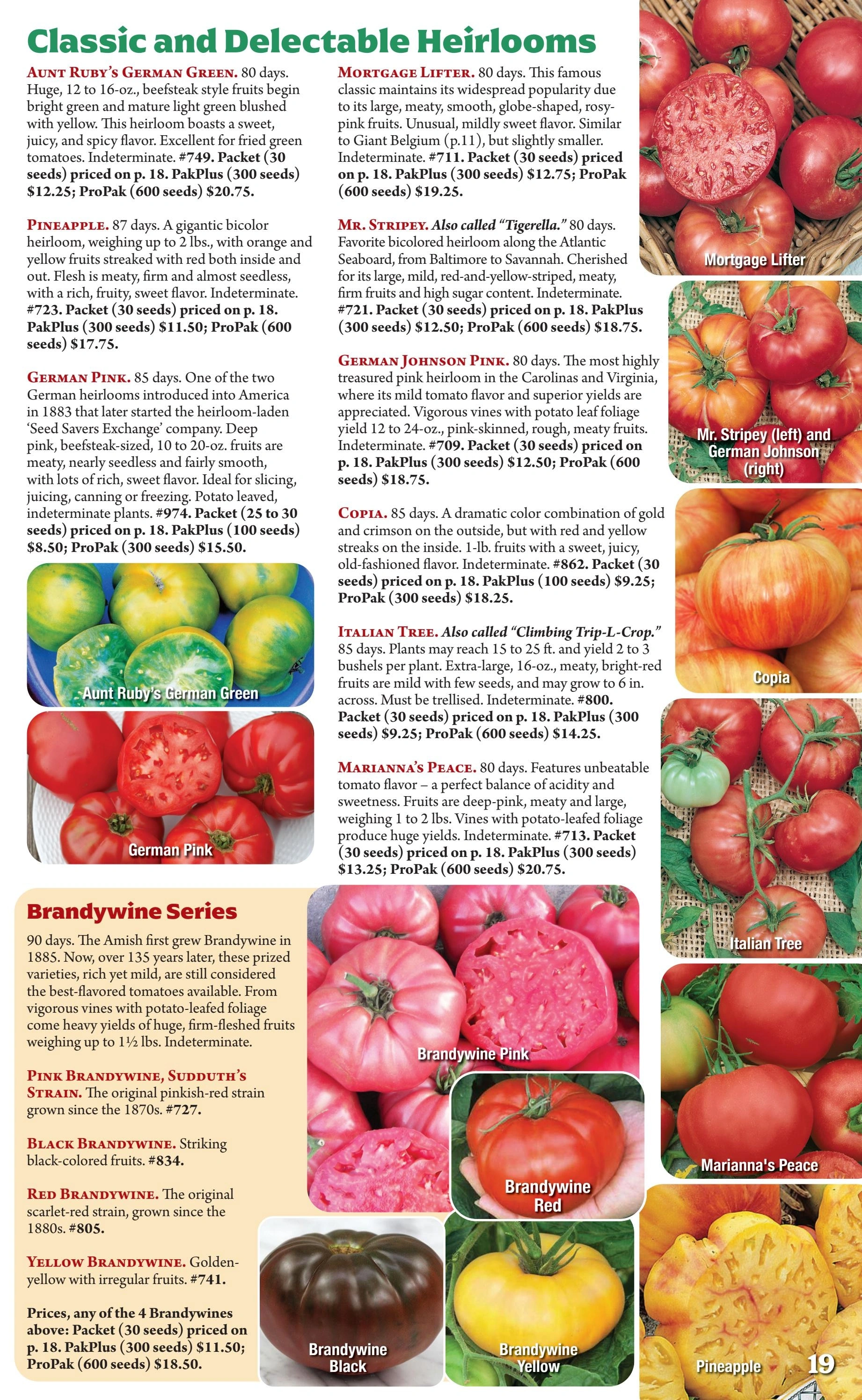 Seeds 'n Such flyer page 19