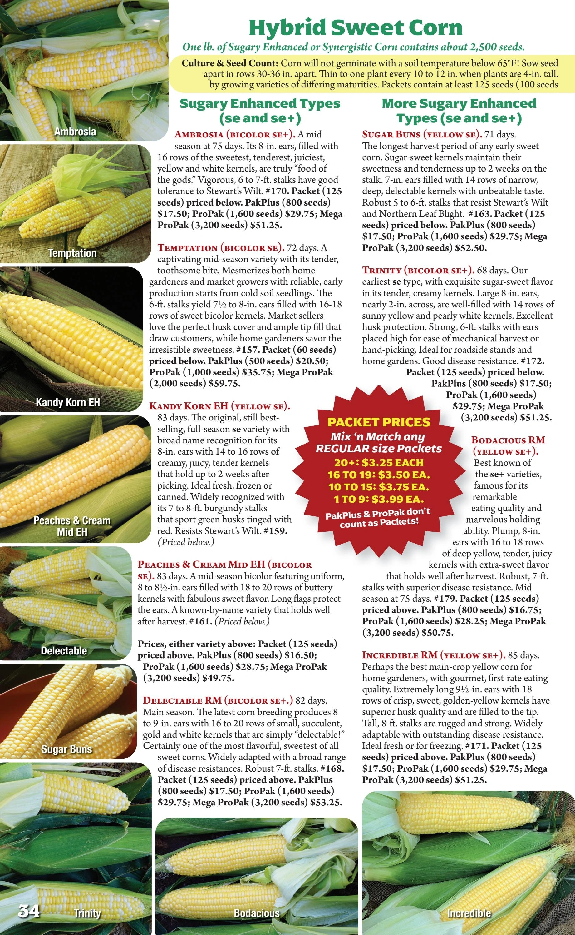 Seeds 'n Such flyer page 34