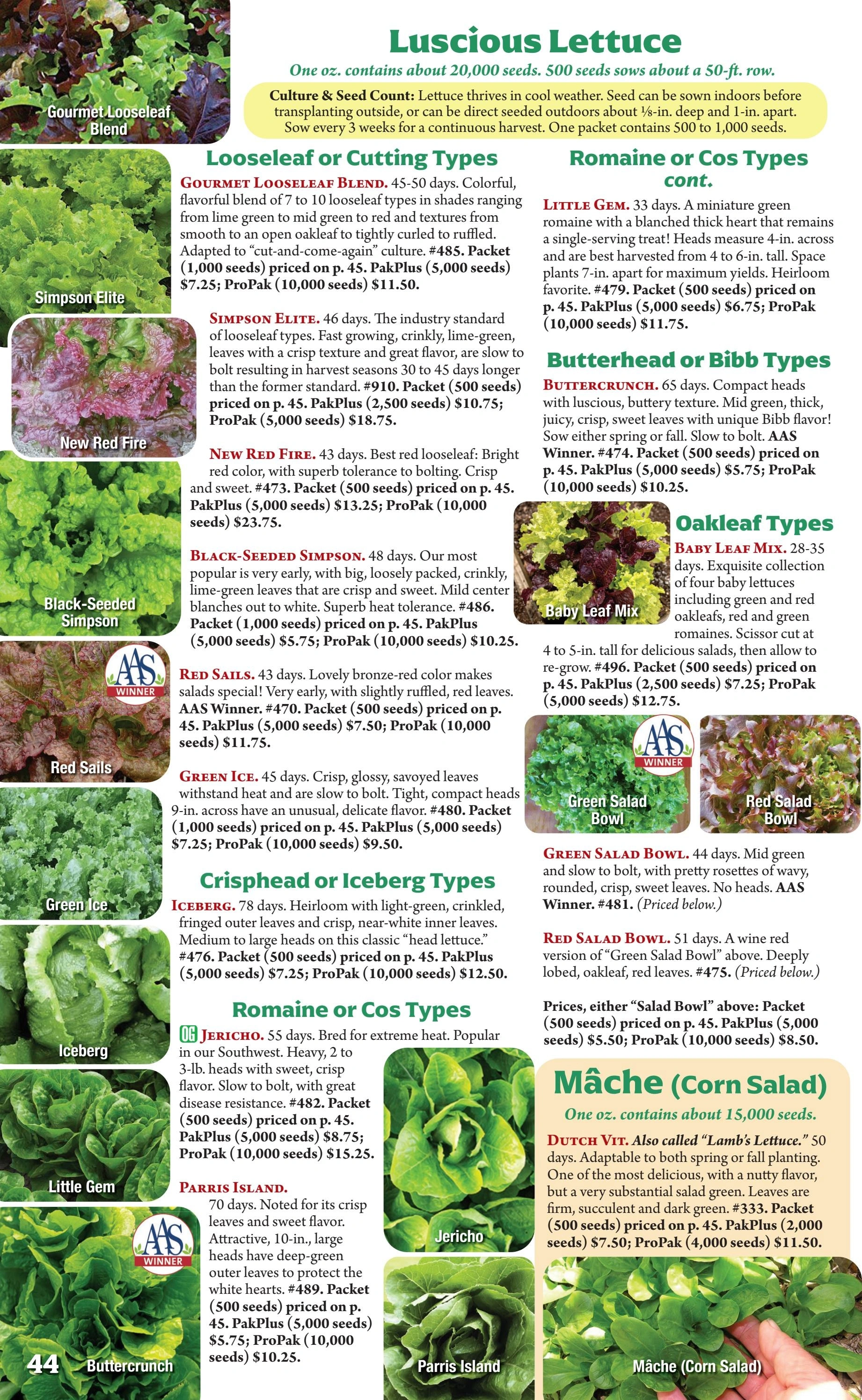 Seeds 'n Such flyer page 44