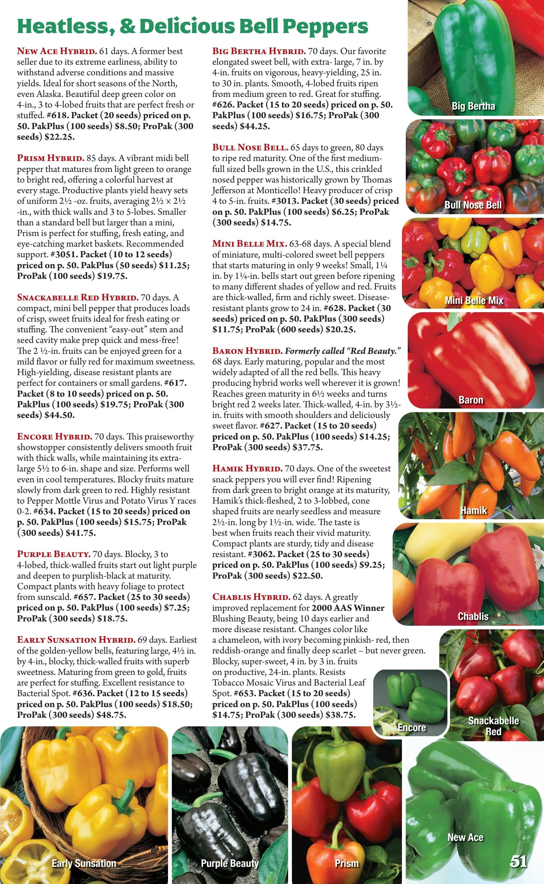 Seeds 'n Such flyer page 51