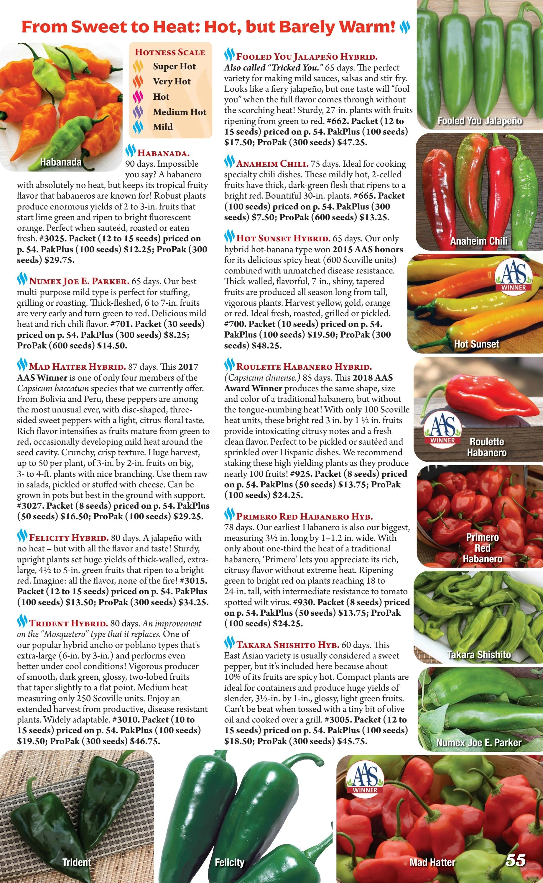 Seeds 'n Such flyer page 55