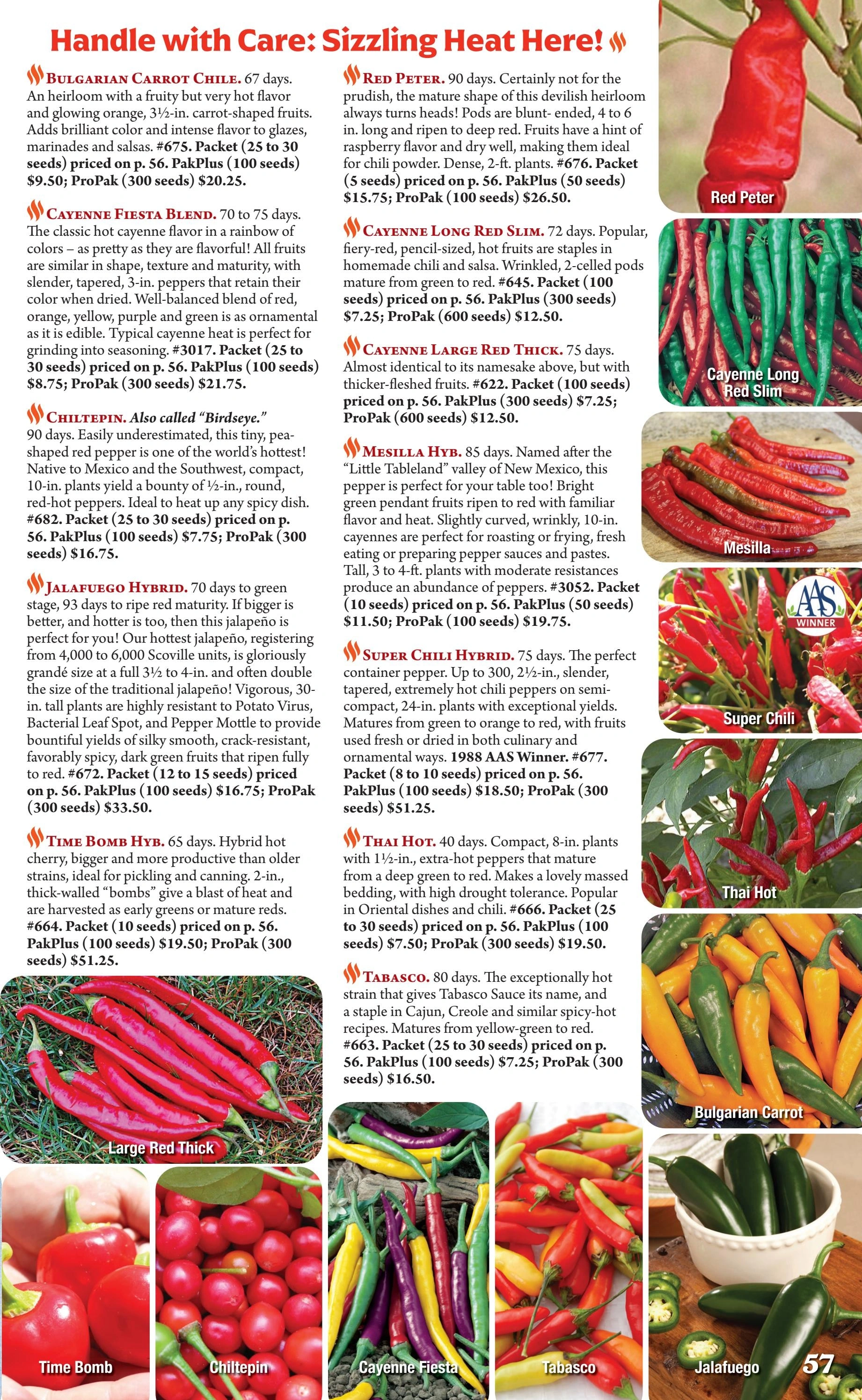 Seeds 'n Such flyer page 57