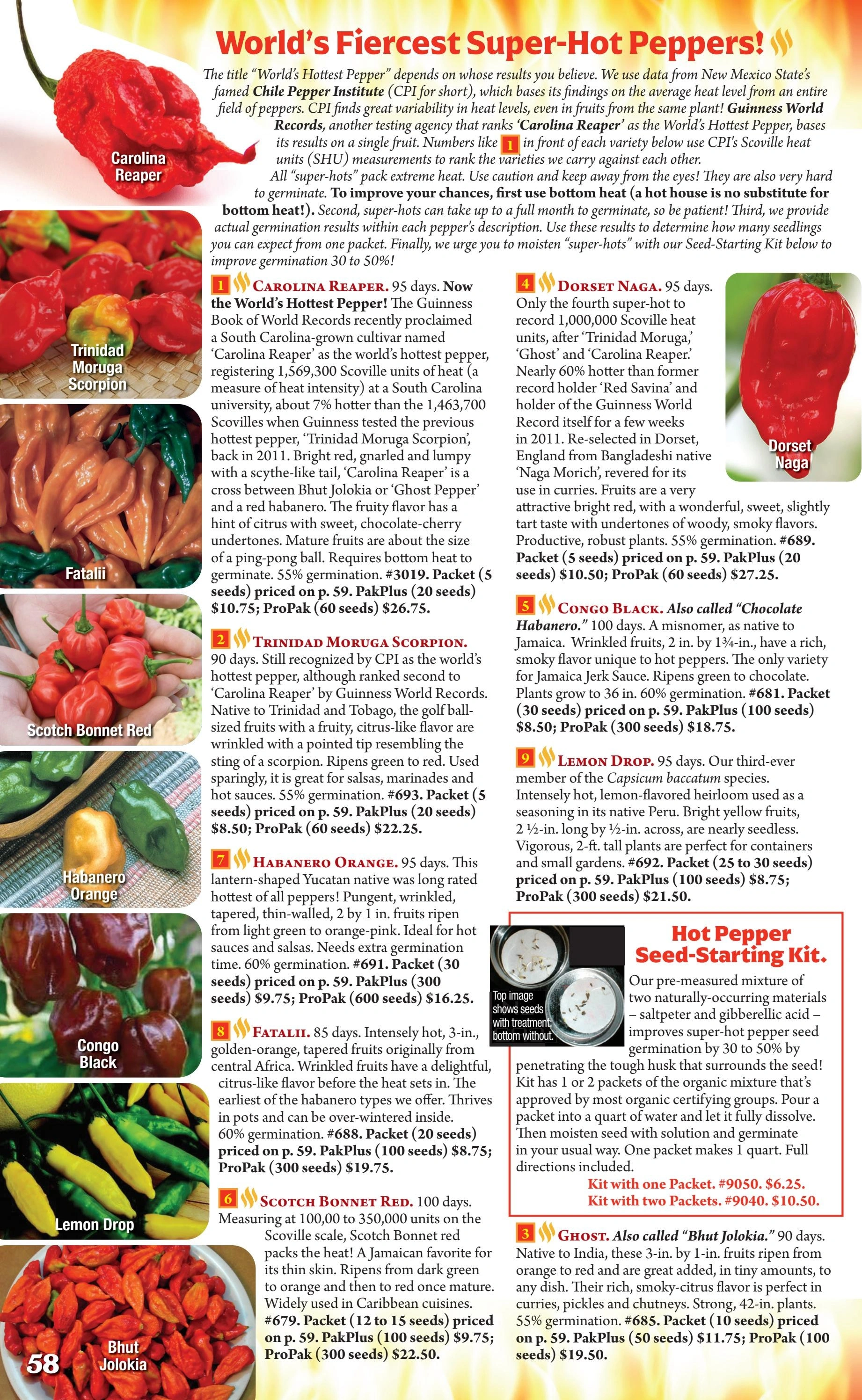 Seeds 'n Such flyer page 58