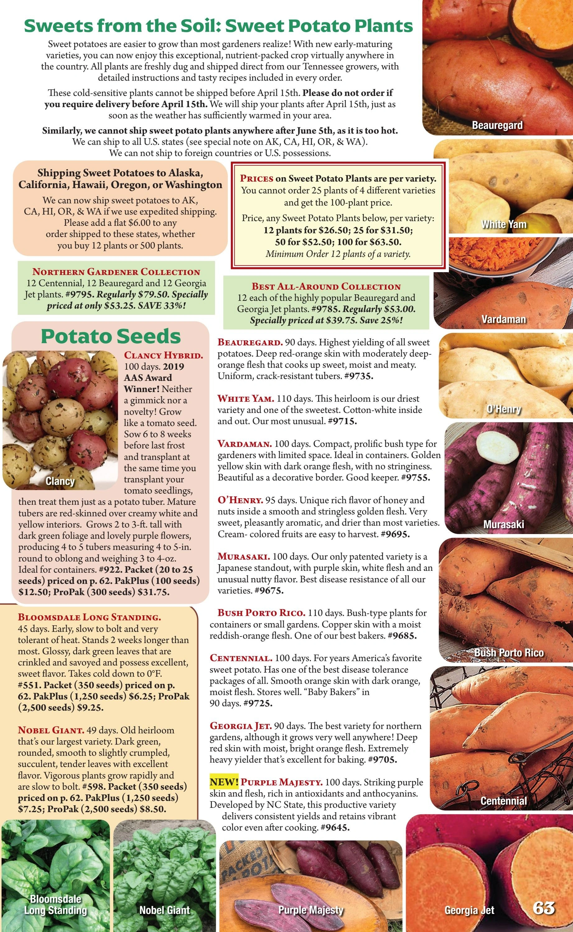 Seeds 'n Such flyer page 63