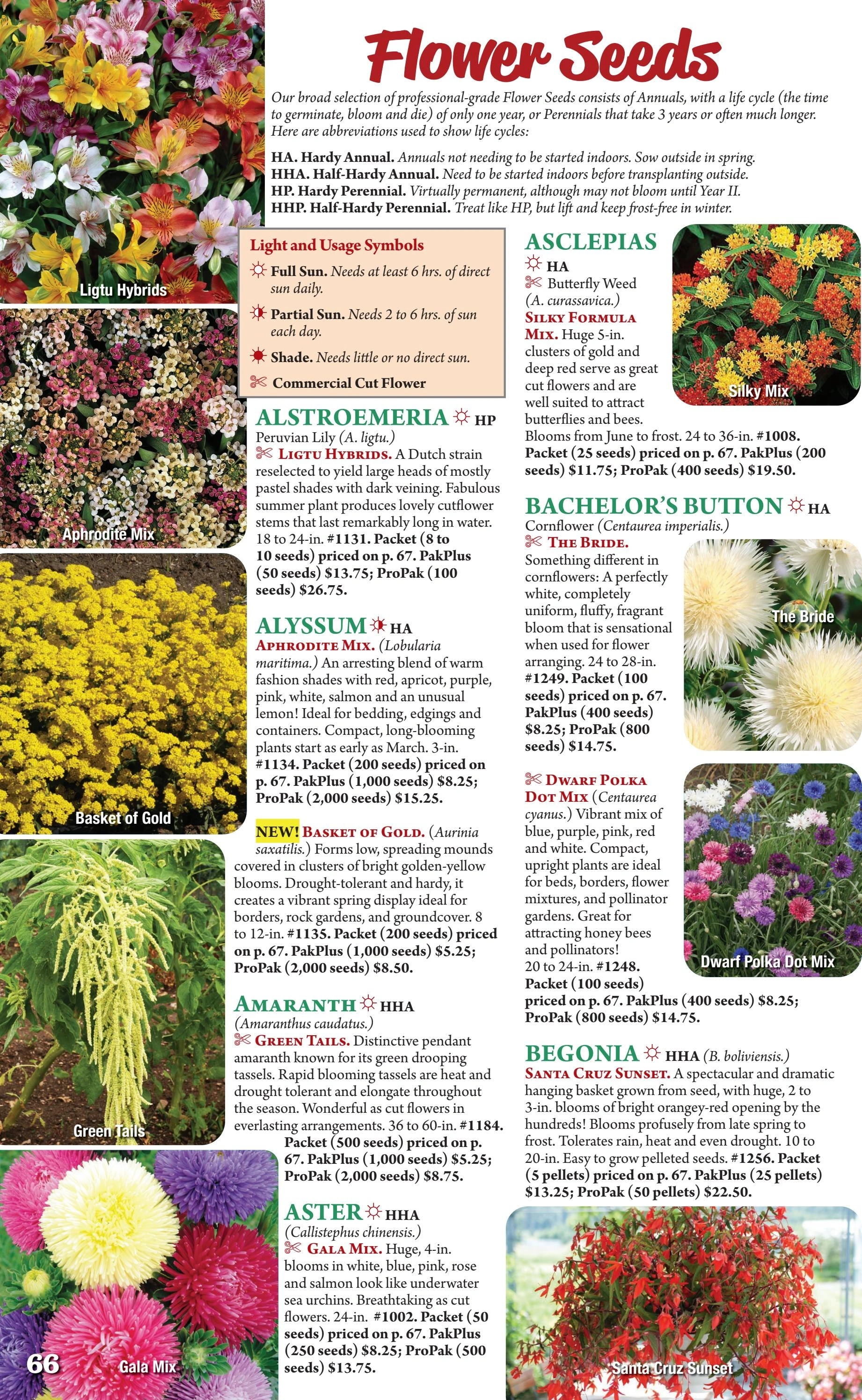 Seeds 'n Such flyer page 66