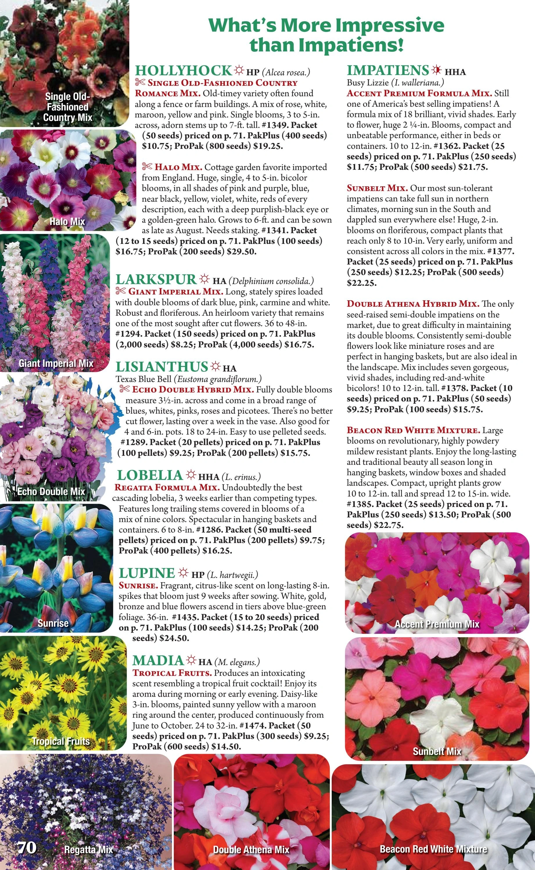 Seeds 'n Such flyer page 70