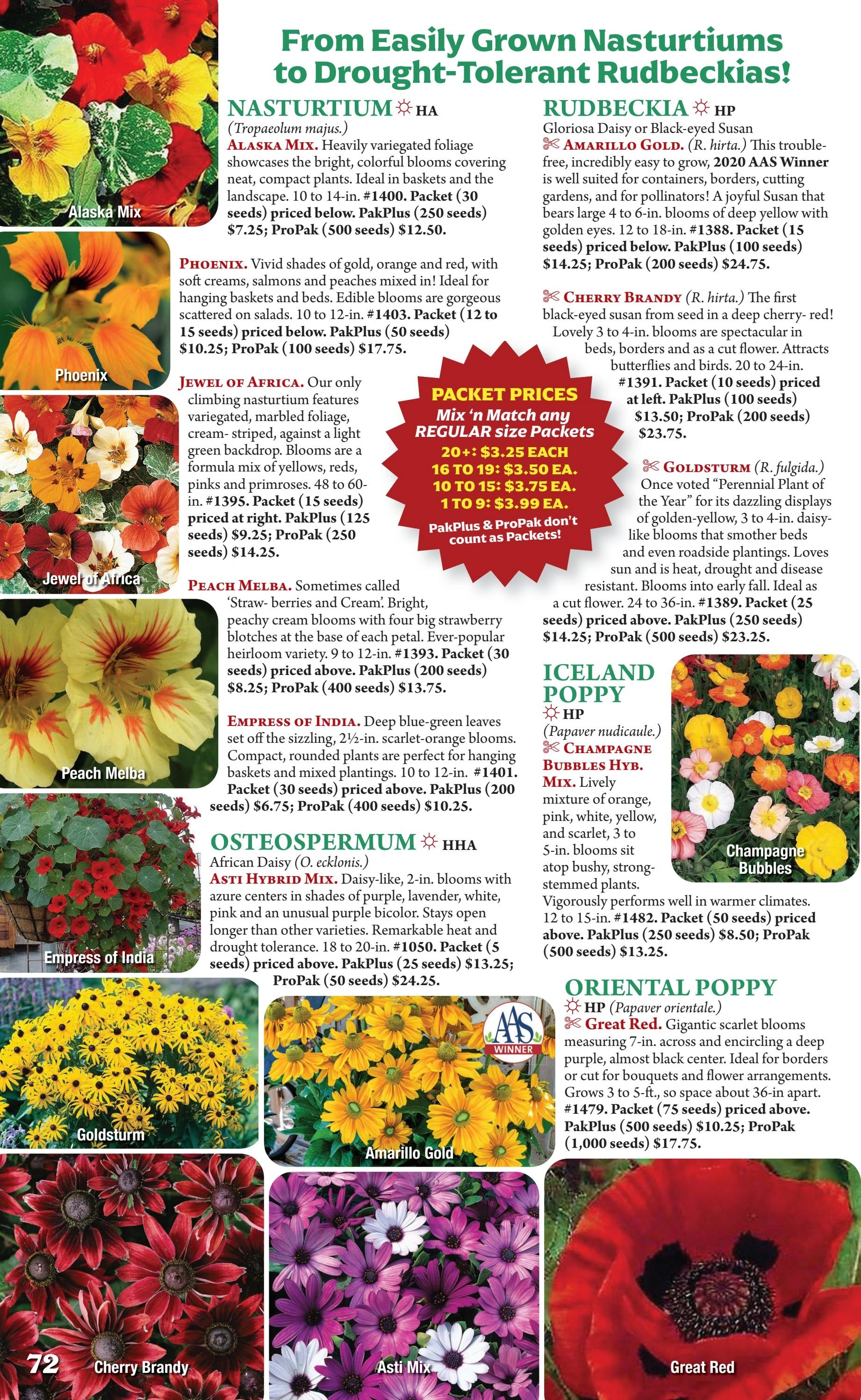 Seeds 'n Such flyer page 72