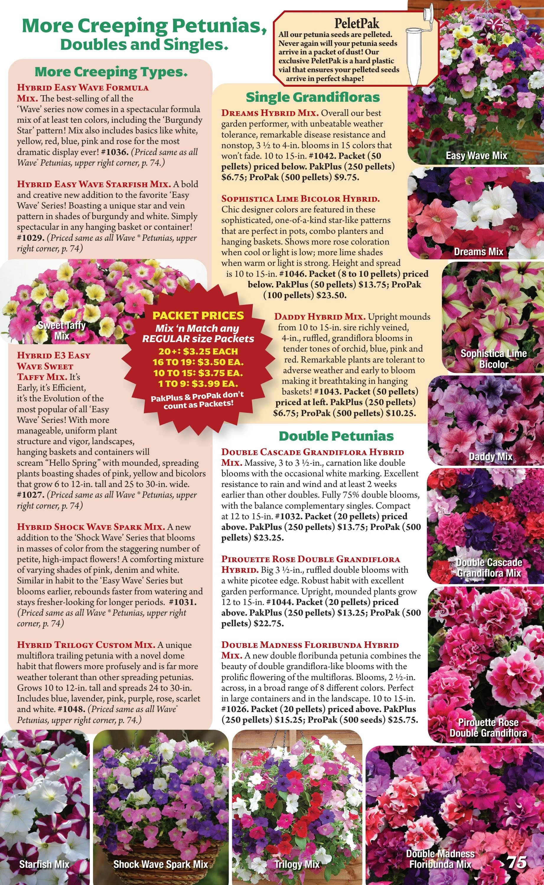 Seeds 'n Such flyer page 75