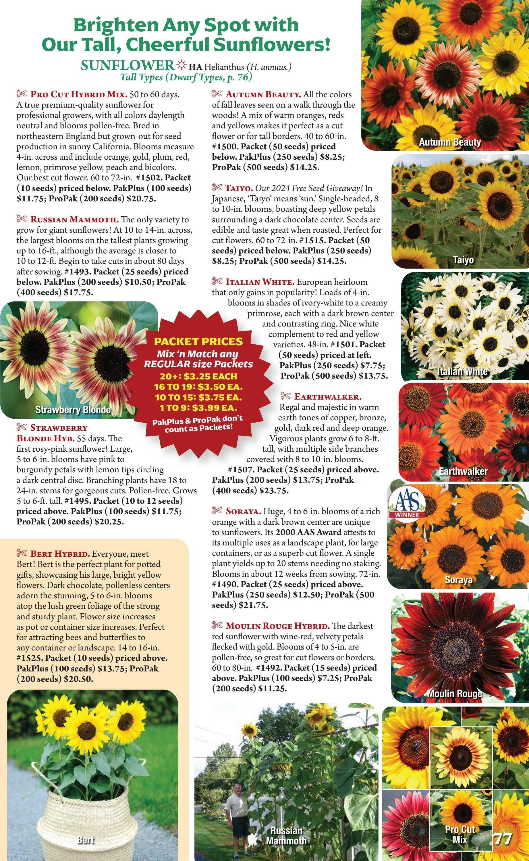Seeds 'n Such flyer page 77