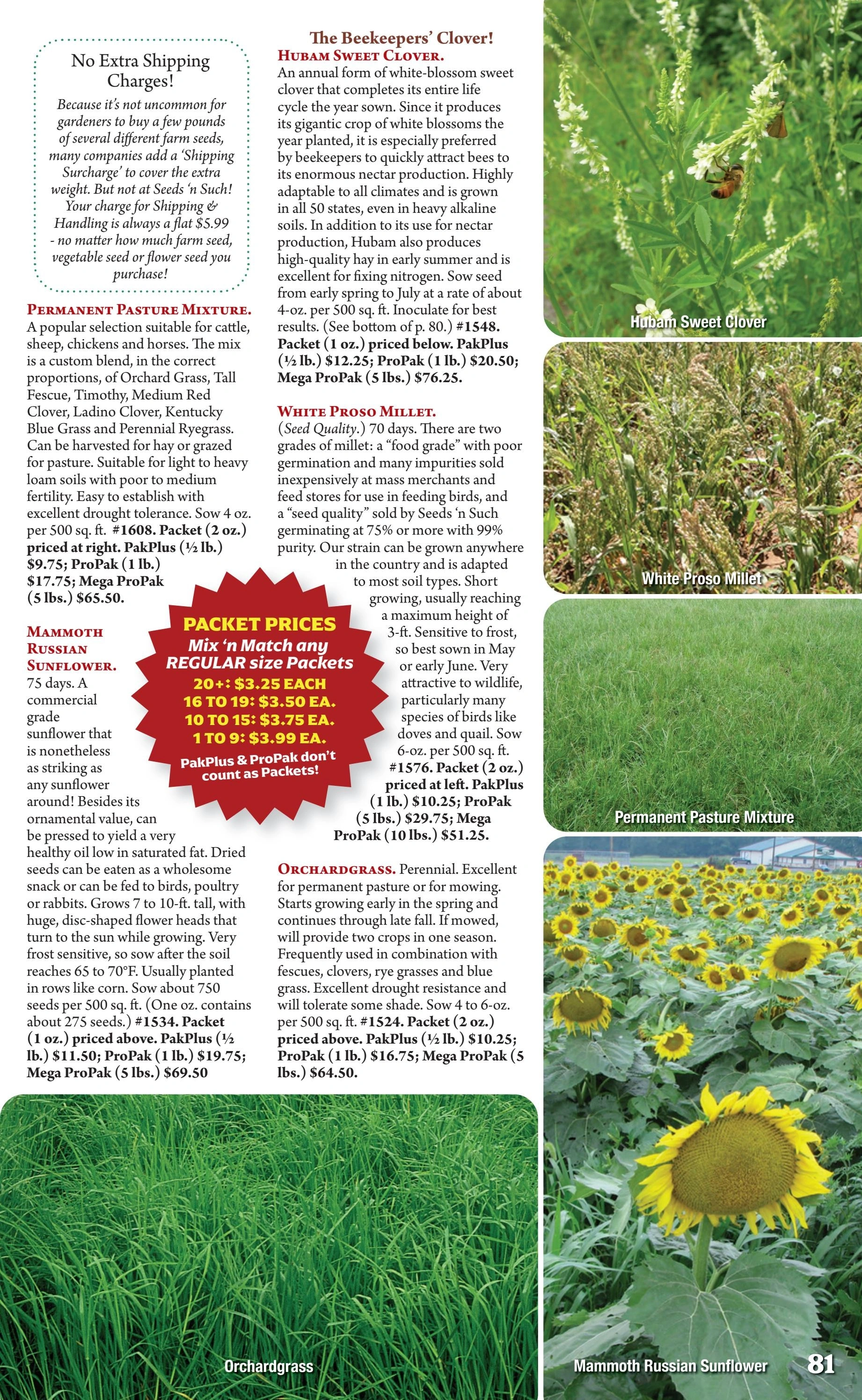 Seeds 'n Such flyer page 81