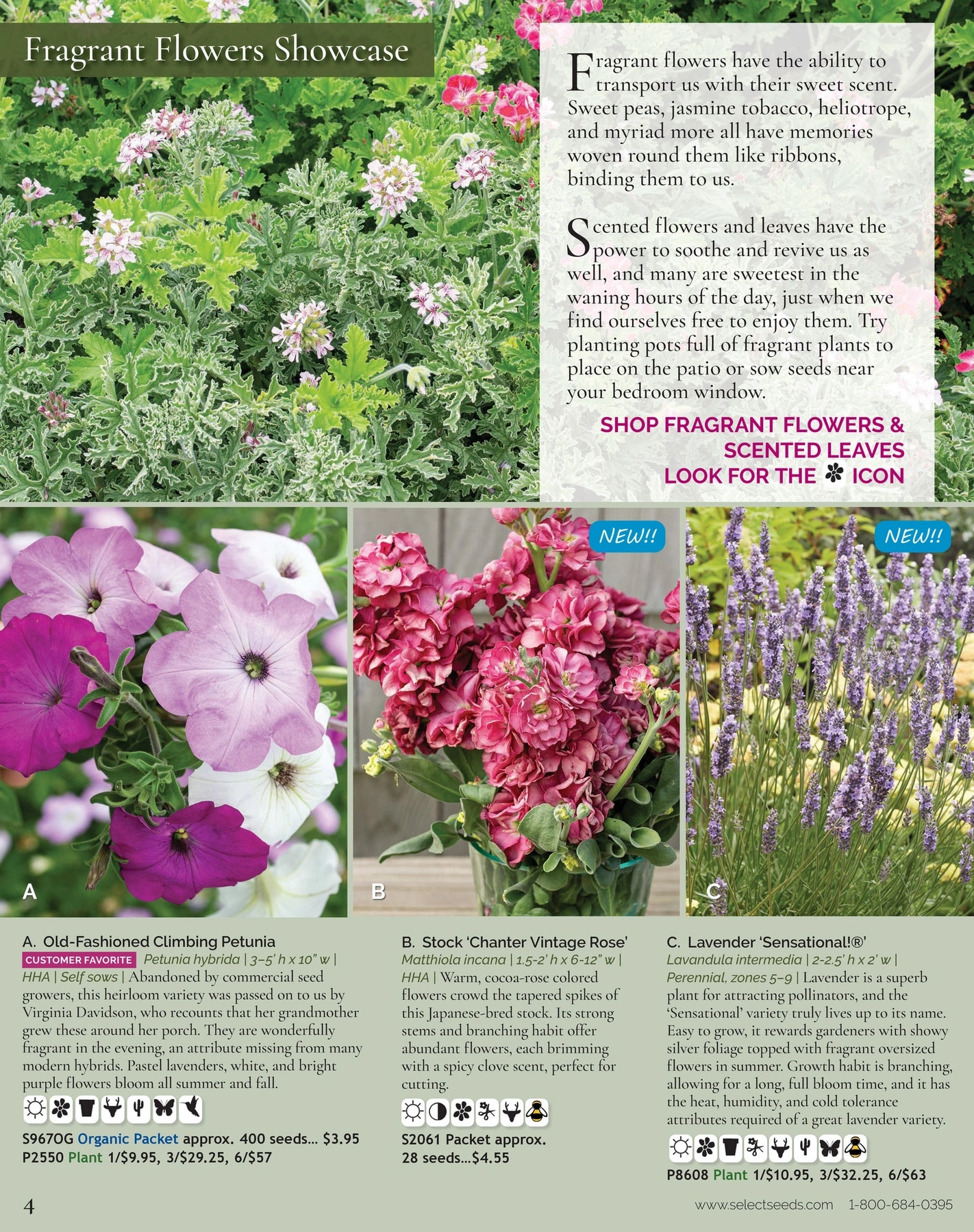 Select Seeds flyer page 4