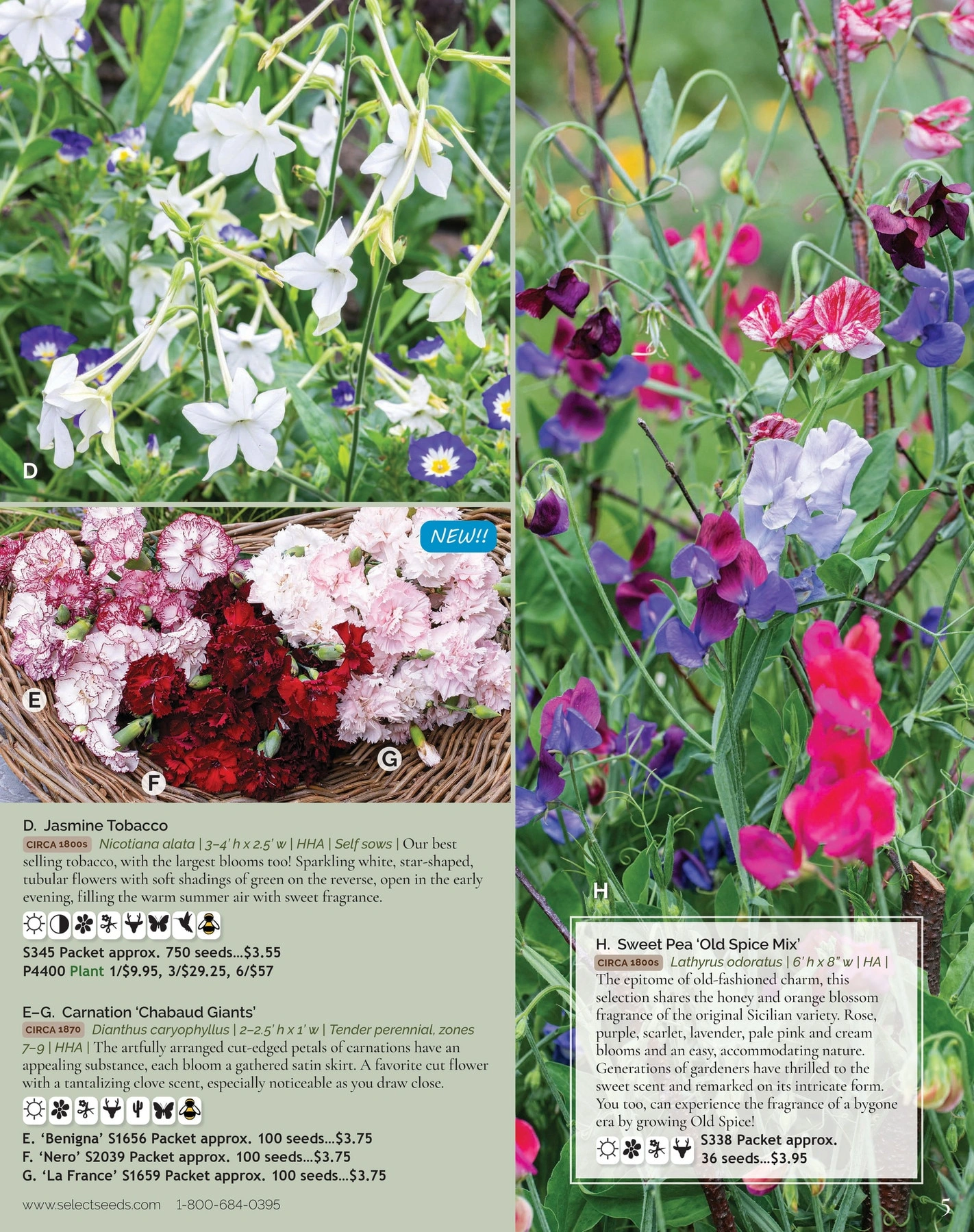 Select Seeds flyer page 5