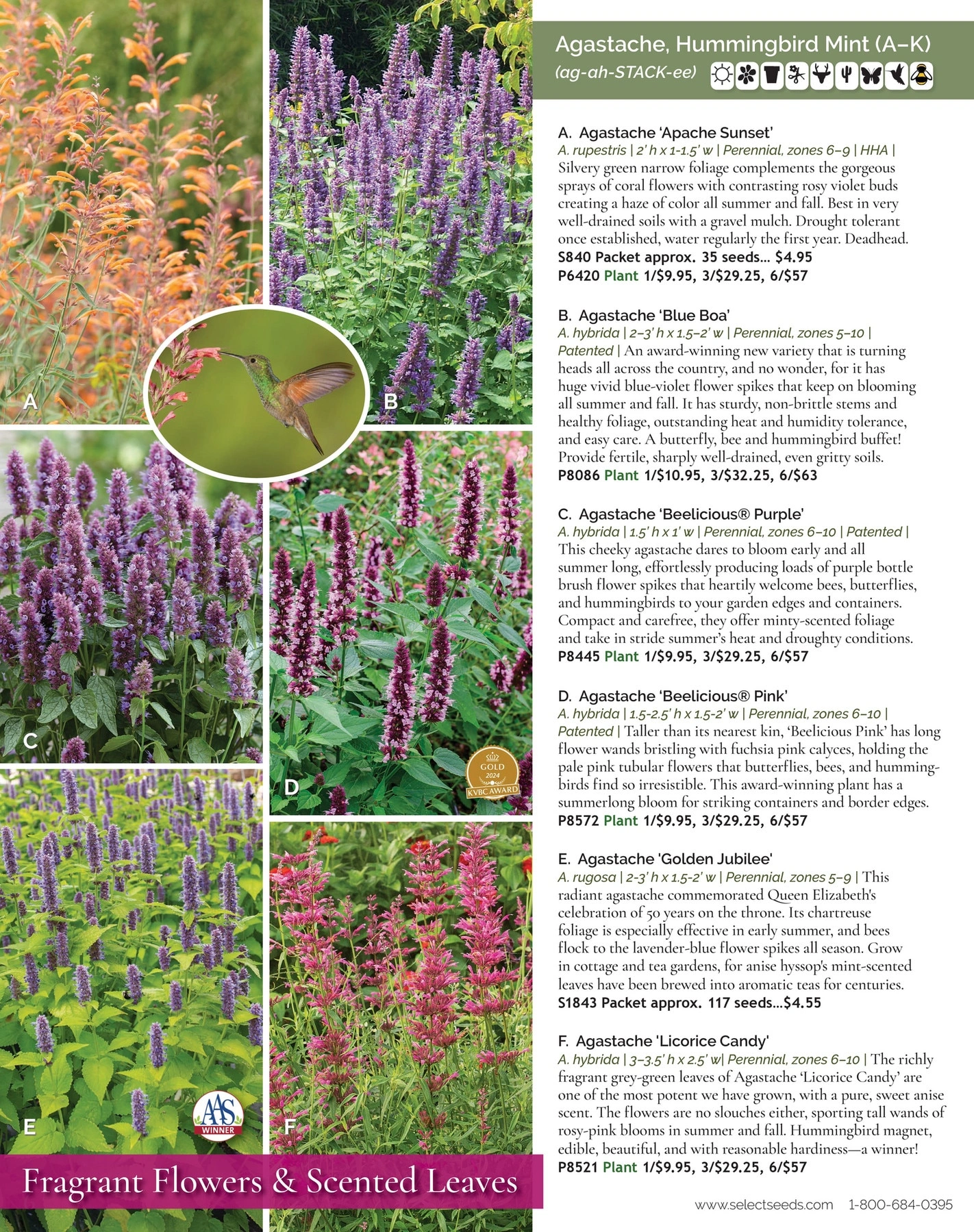 Select Seeds flyer page 6