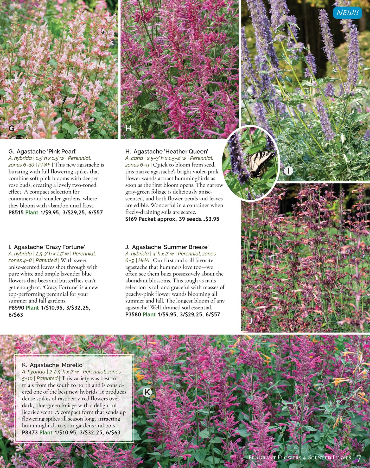 Select Seeds flyer page 7