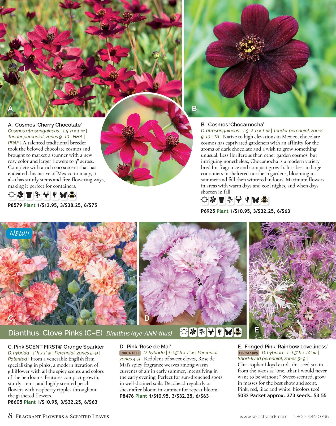 Select Seeds flyer page 8