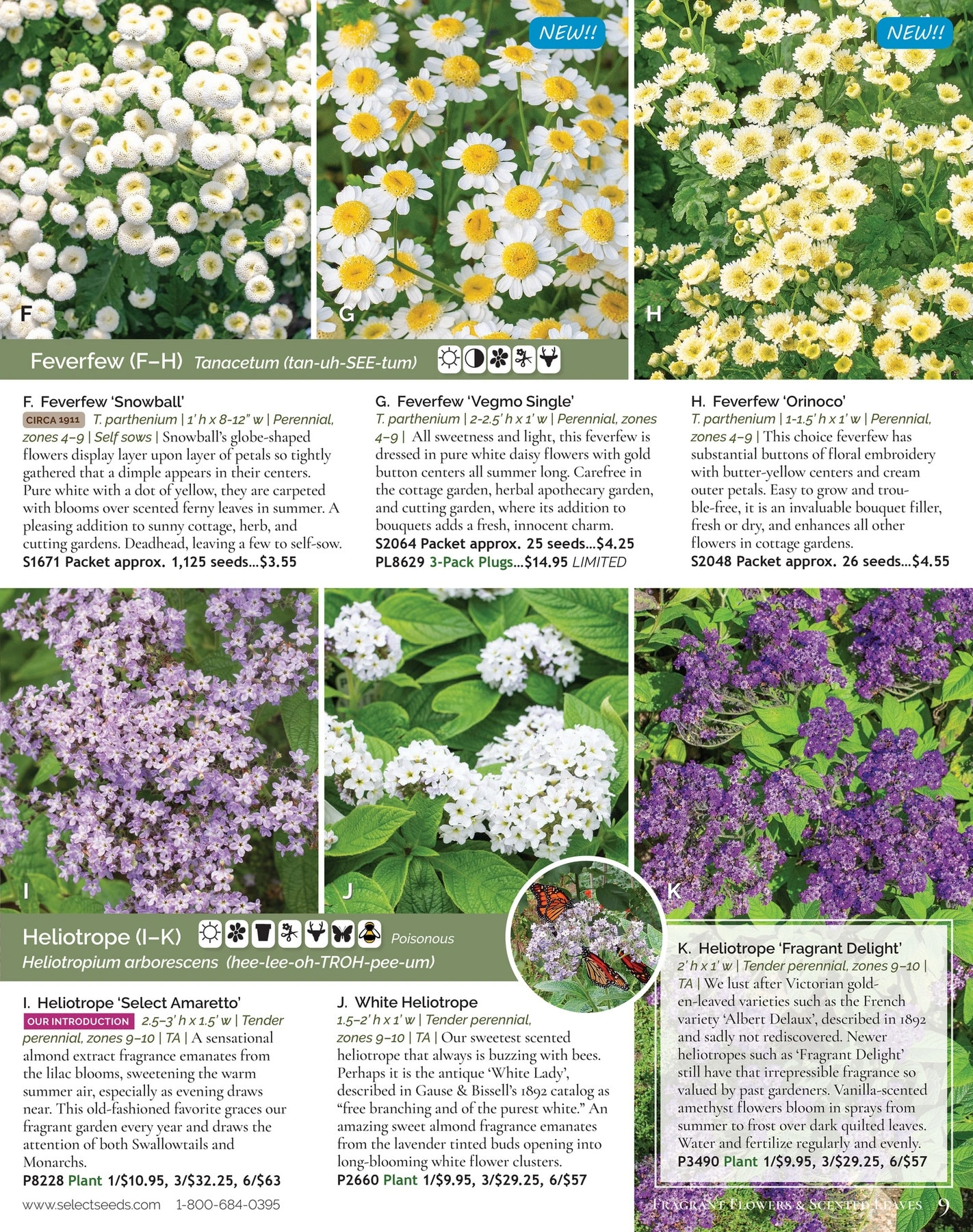 Select Seeds flyer page 9