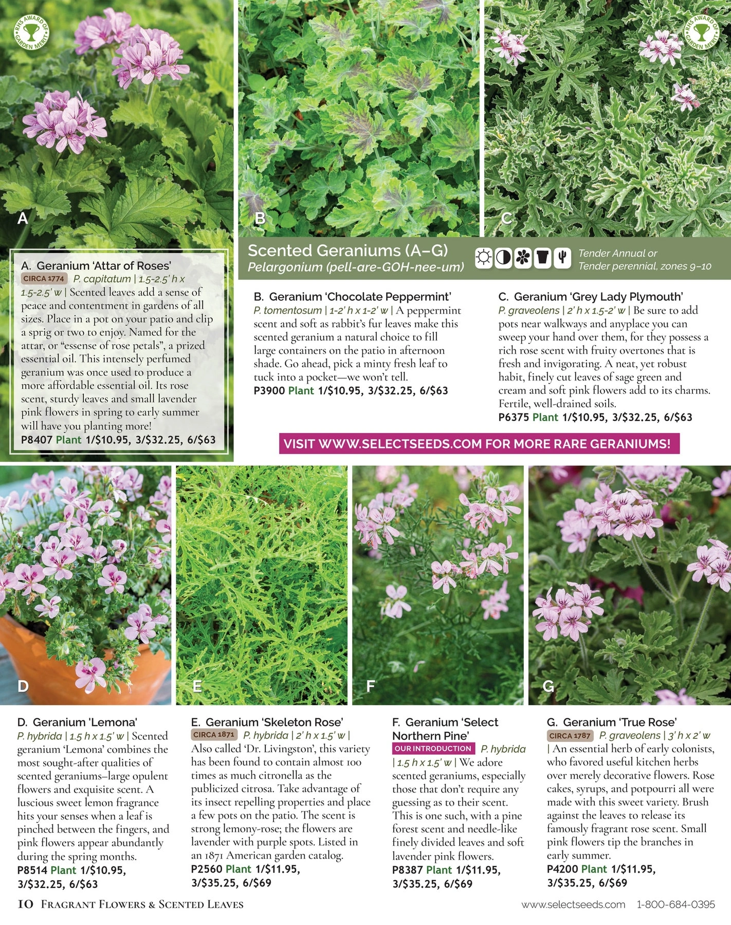 Select Seeds flyer page 10