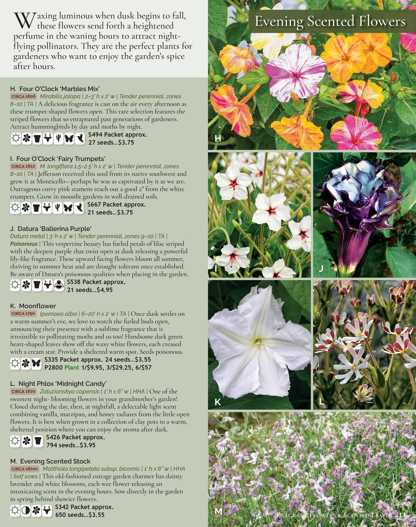 Select Seeds flyer page 11