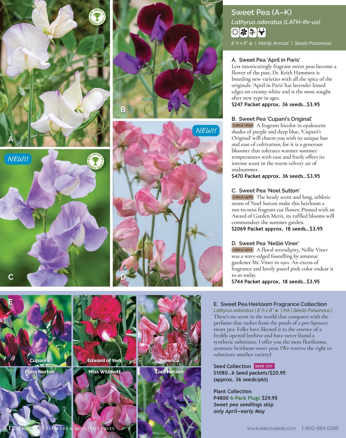 Select Seeds flyer page 12