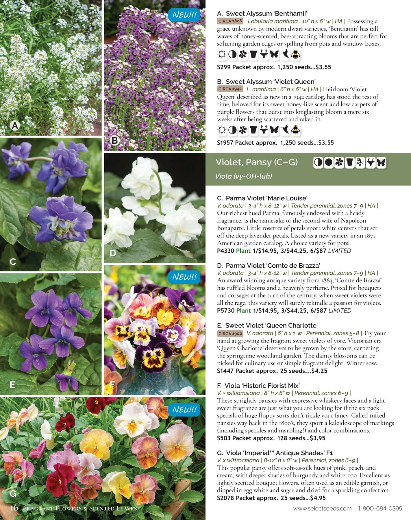 Select Seeds flyer page 16