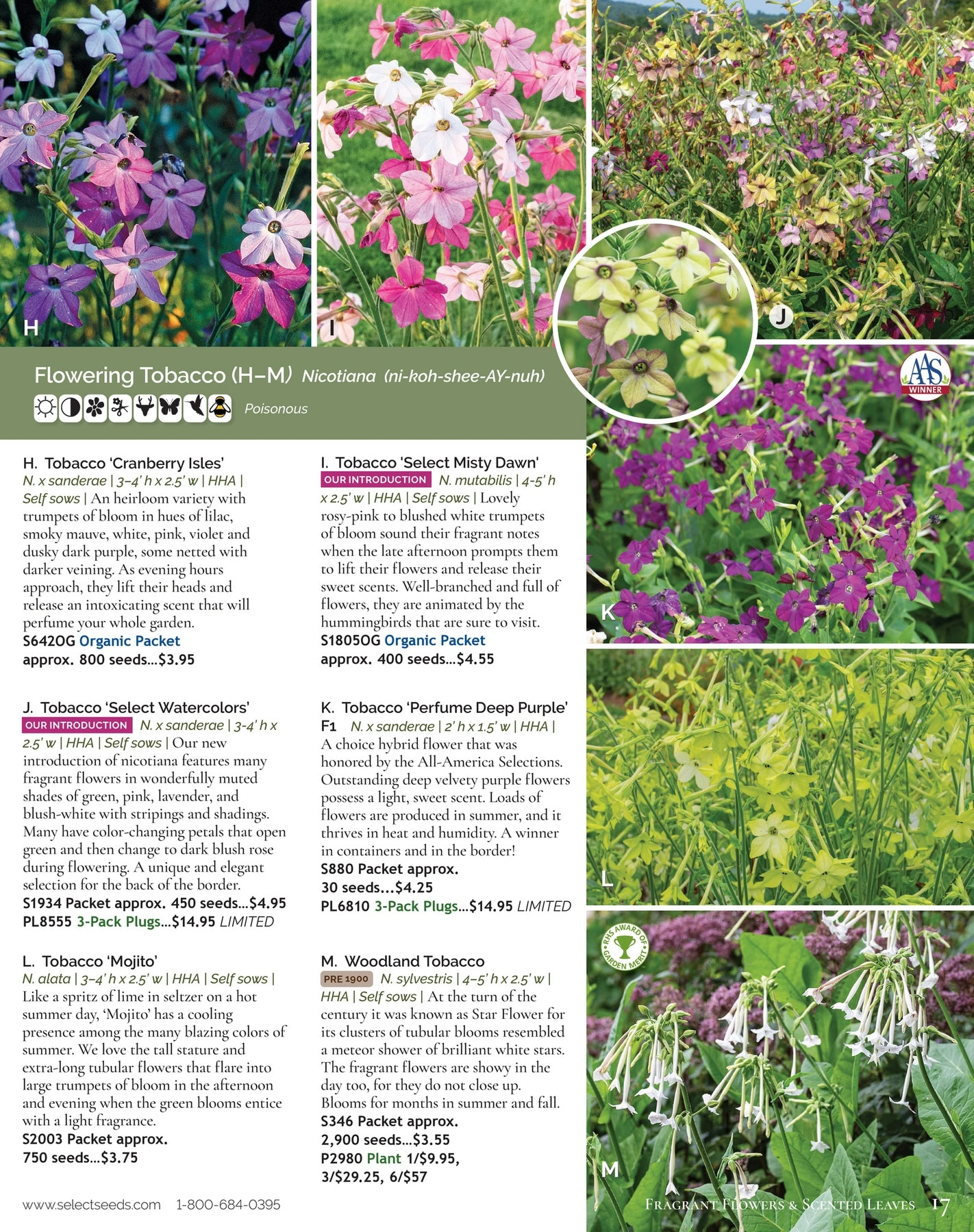 Select Seeds flyer page 17