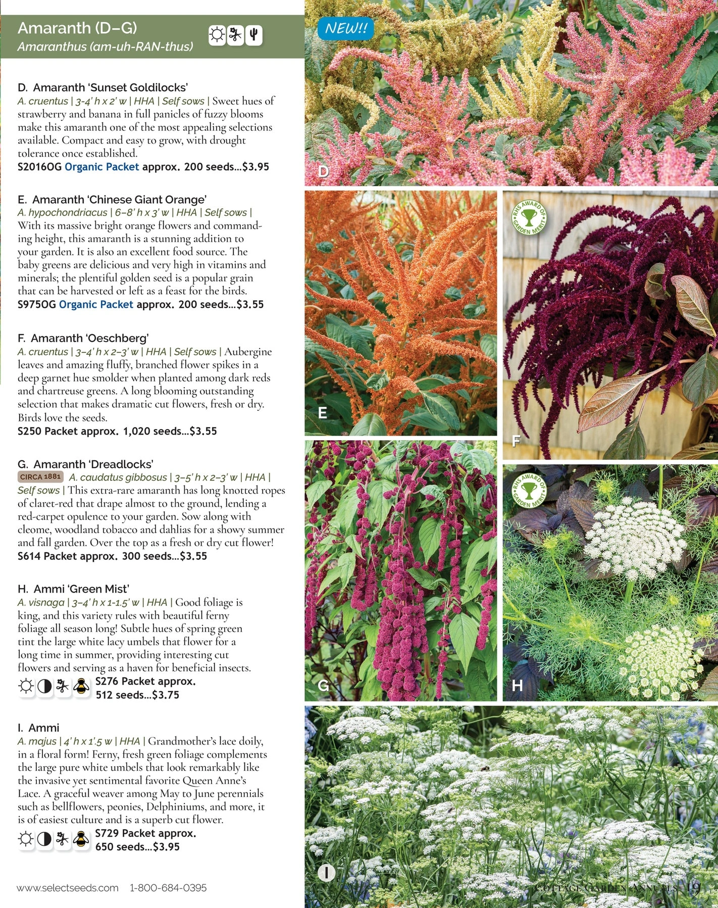 Select Seeds flyer page 19