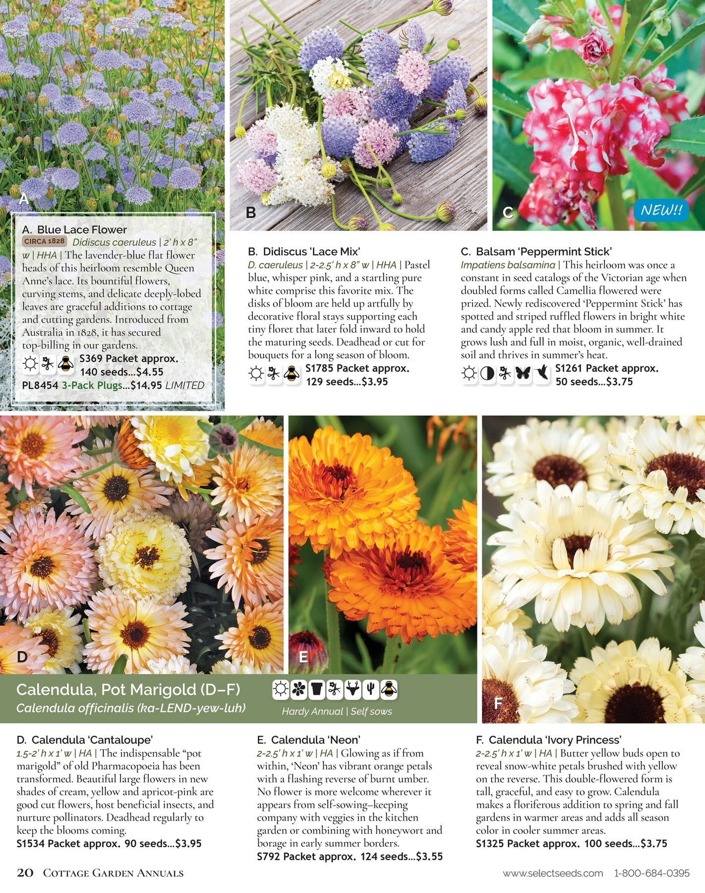 Select Seeds flyer page 20