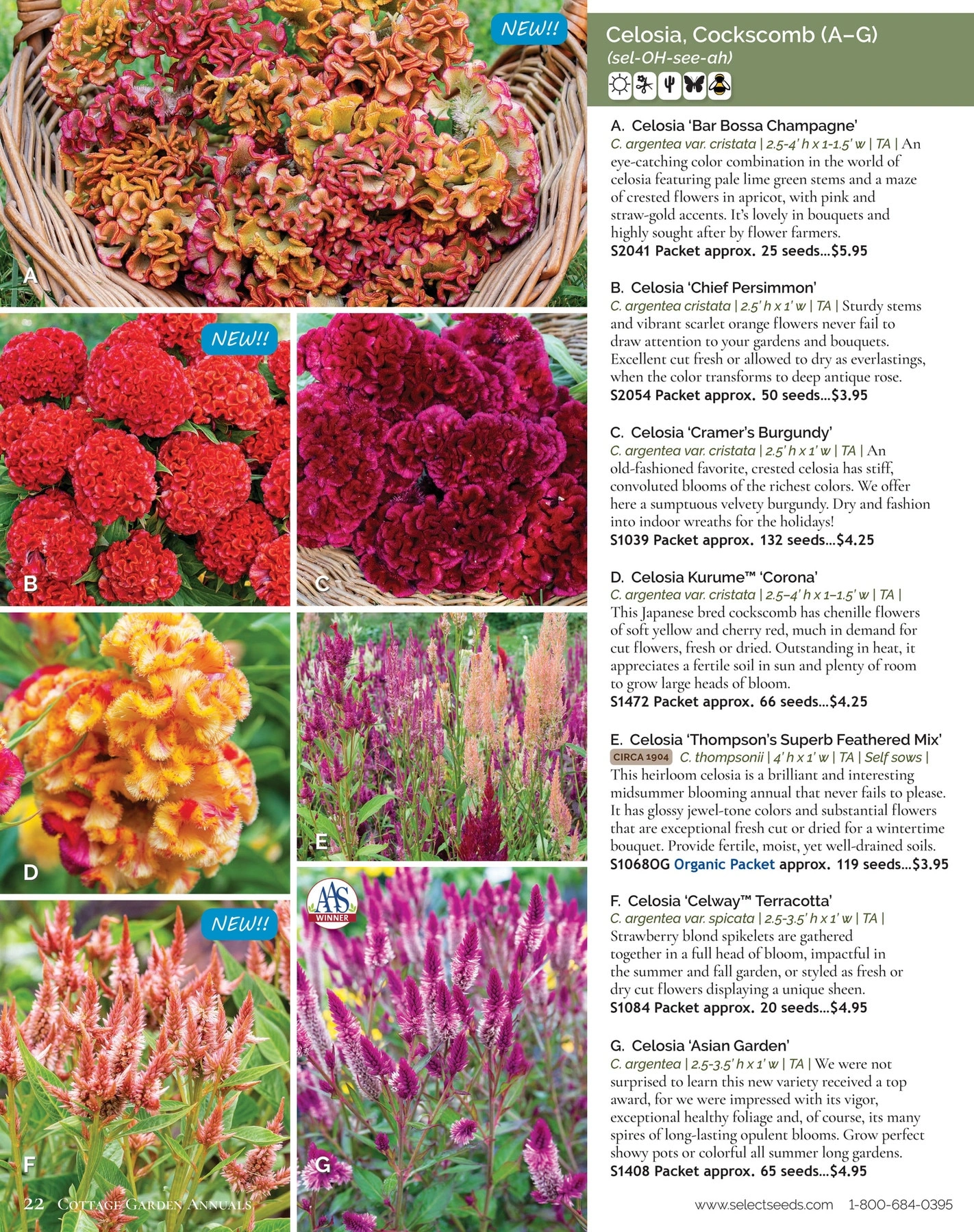 Select Seeds flyer page 22