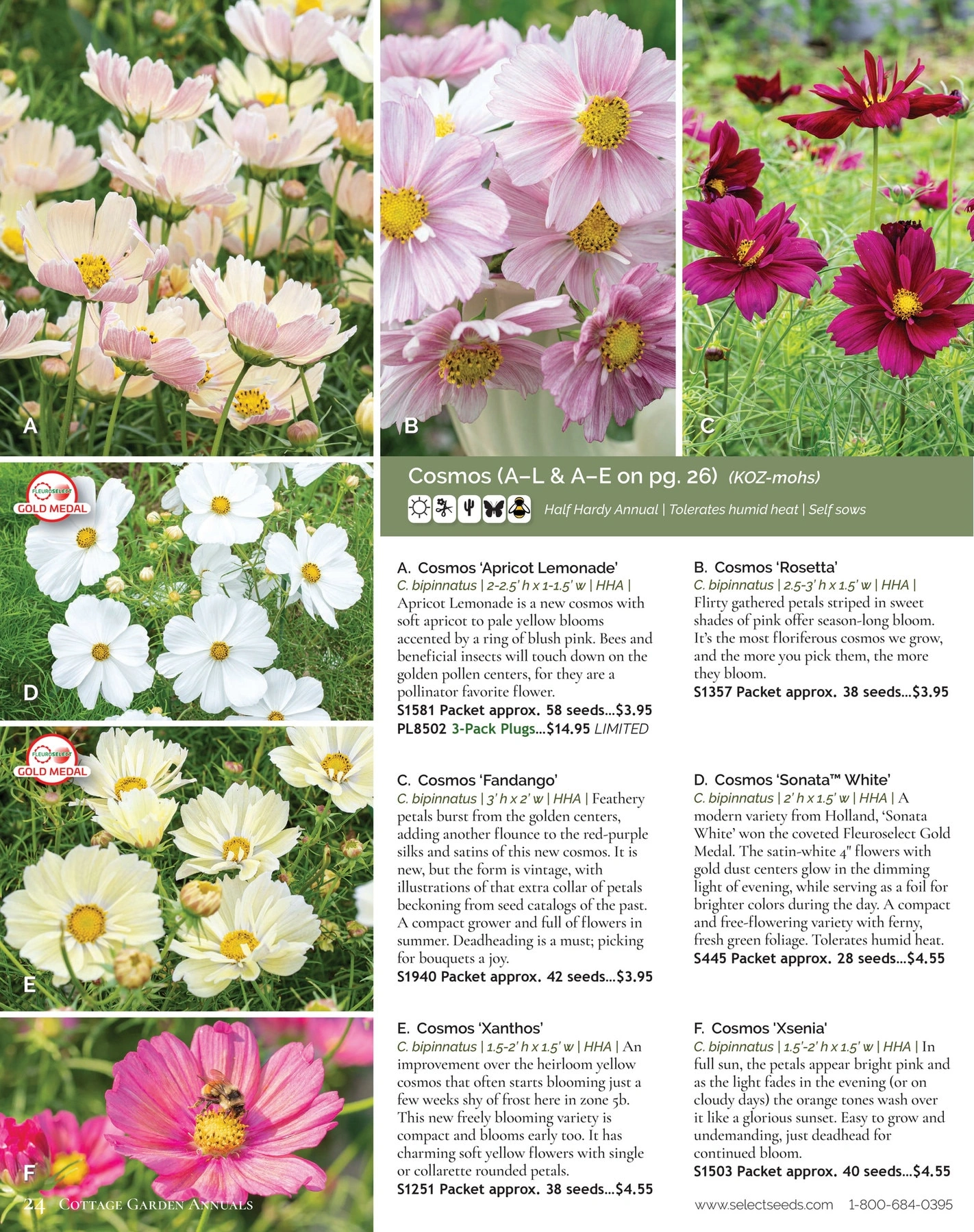 Select Seeds flyer page 24
